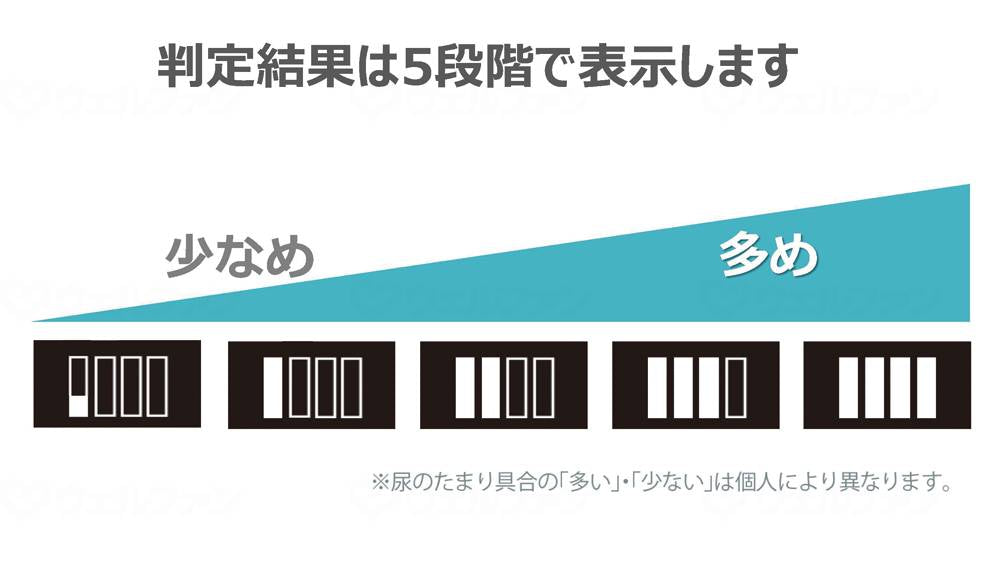 릴리엄 오오츠카 릴리엄 스팟 사이트