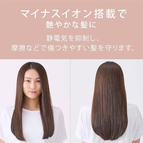 IRIS 100719 イオンドライヤー ダークグレー HDR-M101-H 1 台