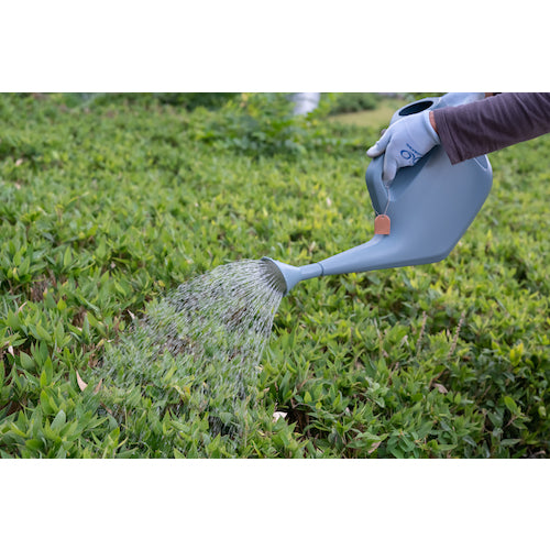 Chispa Watering Can 5L Blue Gray 290692 1 pc