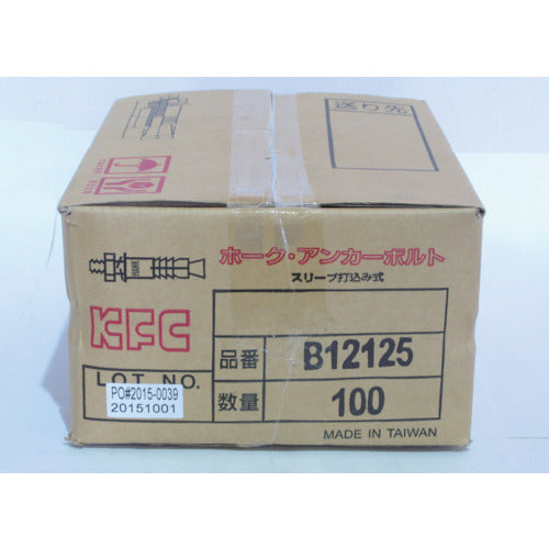 ケー・エフ・シー ホーク・アンカーボルトBタイプ スチール製M12 全長125 B12125 100 本