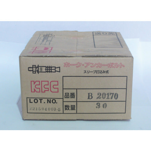ケー・エフ・シー ホーク・アンカーボルトBタイプ スチール製M20 全長170 B20170 30 本