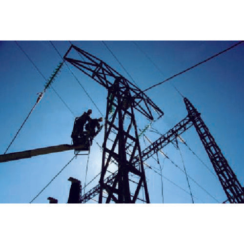 WILLIAMS 高所用ユーティリティスーパージョイントプライヤー 250mm PL-1520C-TH 1 丁