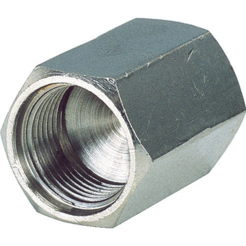 PISCO メインブロック 止め栓 キャップ ねじサイズM8×1 MCP08 1 個