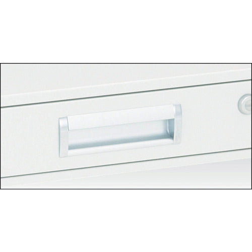 TRUSCO Tool Wagon Eagle Birdy Wagon 1 Drawer 600 x 400 Young Green EGW-64V-YG 1 Unit