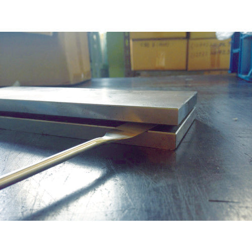 TRUSCO 다이아몬드 야스리 주걱 형 대 TDFH-250W 1 개