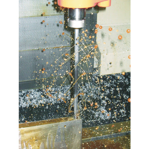 botek 범용 공작 기계용 건드릴 날 직경 17.5mm B110-175400 1개