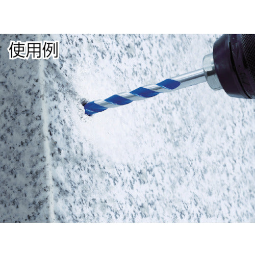 ALPEN グラナイト 6.0×100mm ストレートシャンク 25700600 1 本