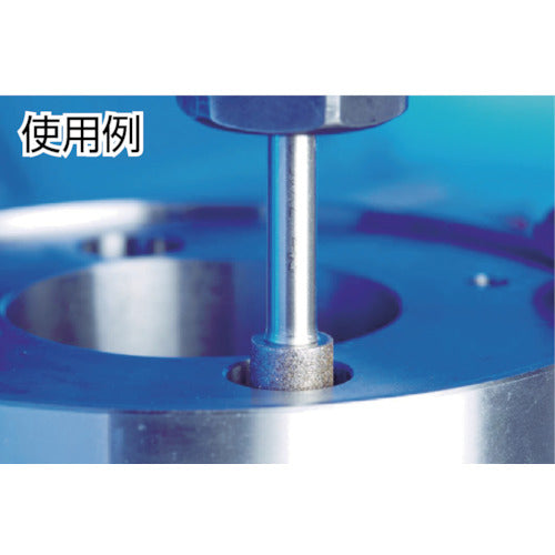 PFERD CBN Internal Bar 3mm Shaft 120 Blade Diameter 3.0mm BZY-A3.0-119334 1 piece