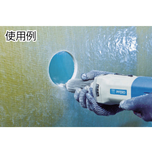 PFERD 다이아몬드 인터널 바 6mm축 120 DZY-A6.0-119259 1개