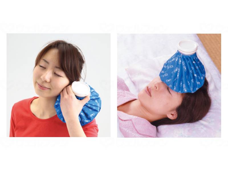 Fujisho Handy Ice Pack Large