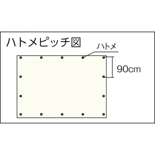 TRUSCO 1 year sheet, width 3.6m x length 5.4m, gray, TP1-3654GY, 1 sheet