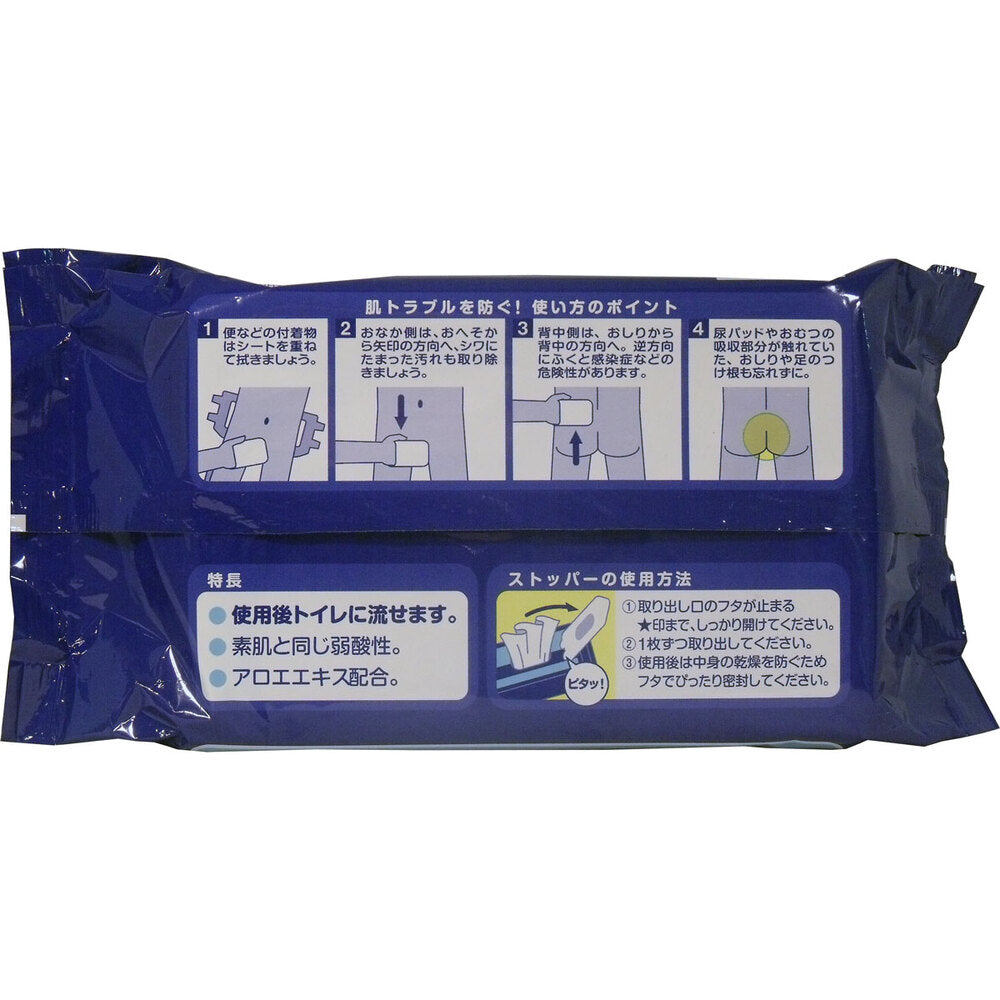 Acty Flushable Wipes, 100 sheets, 1 unit