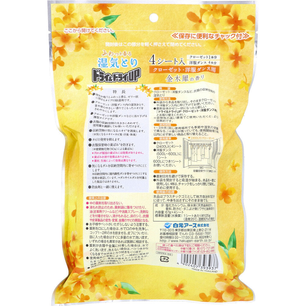 드라이&드라이UP