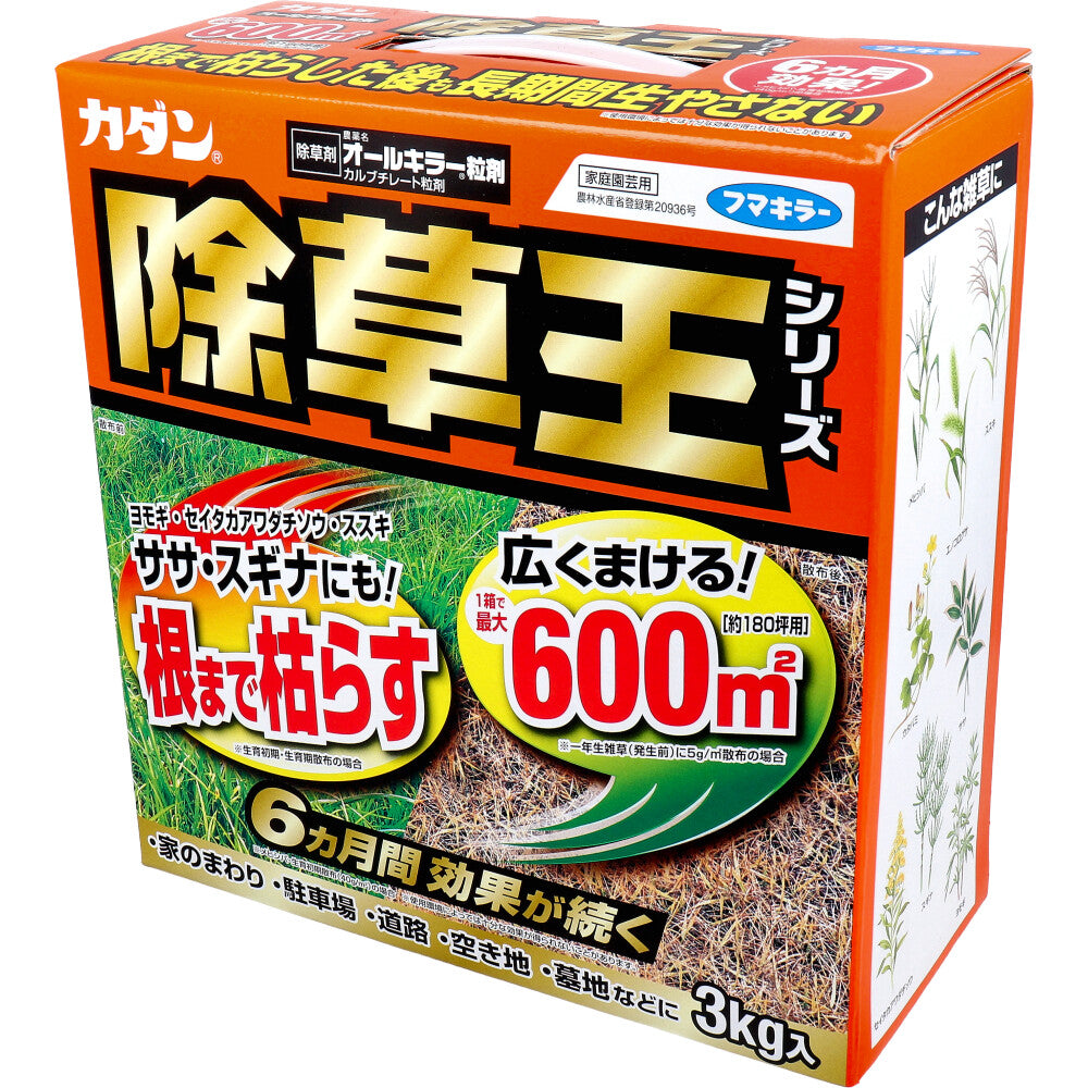 【農薬】カダン 除草王シリーズ オールキラー粒剤 3kg 1 個