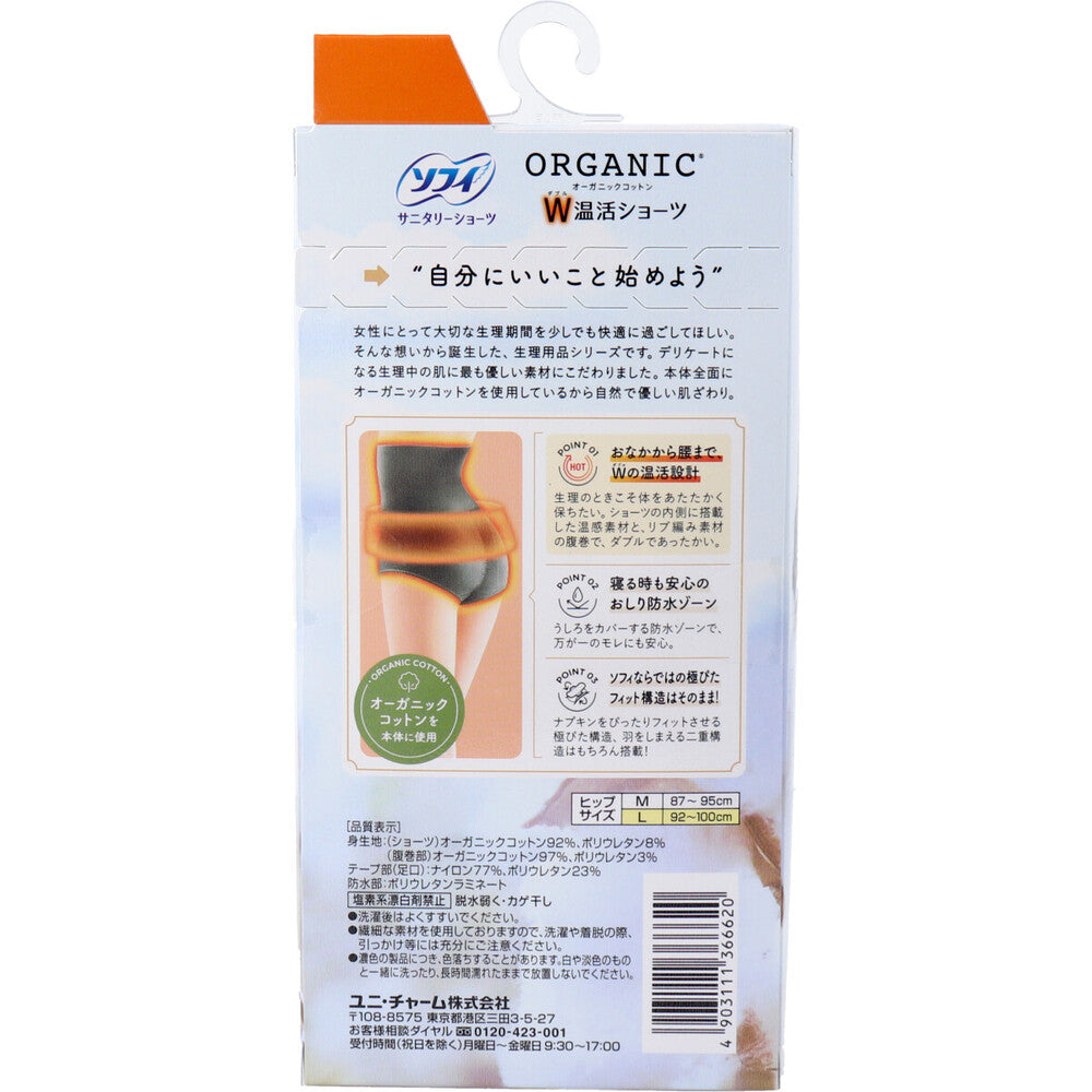 Sofy Sanitary Shorts, Organic Cotton, Double Warmth Shorts, with Belly Band, Size L, Gray, 1 pc