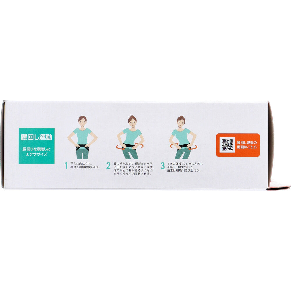 Style Up For Line Bodywork x Pelvis KA-RA-DA FACTORY BODY Hip Up Belt Black M Size 1 pc