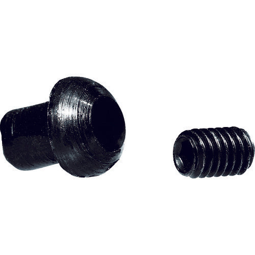 Berger shock absorber, screw 91010 1 S