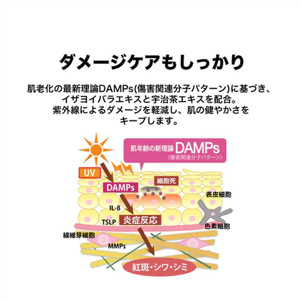 【아울렛】GBC 지비 코스메틱스 클레이 페이셜 워시 100g 1개