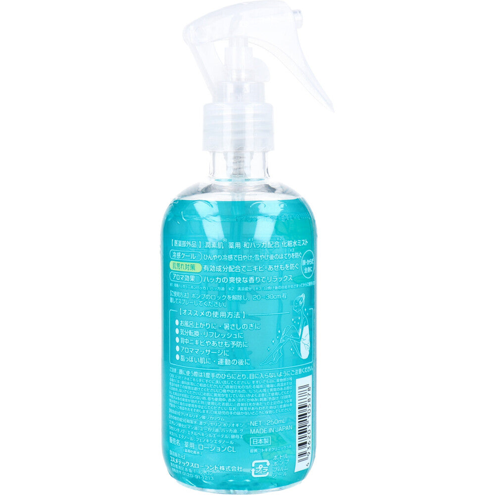 Junsohada Medicinal Japanese Mint Water Mist 250mL 1 piece