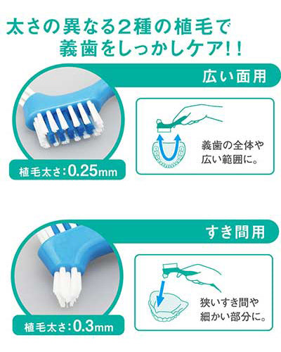 義歯ブラシ / GU-001 1 本