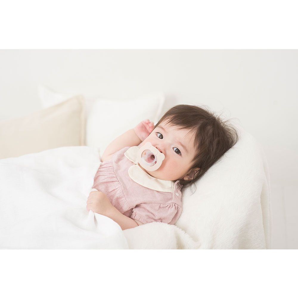 Richell Sucking Lab Pacifier Bear for babies from 3 months old with case 1 piece