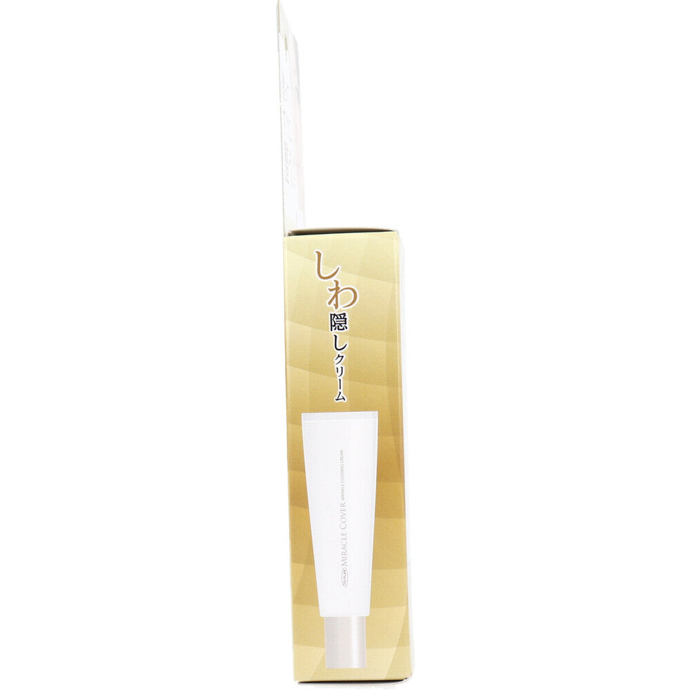 토플란 주름 숨겨진 크림 TKCB-007 20g 1개