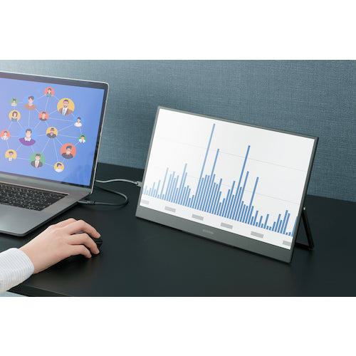 IRIS 103160 ポータブルモニター 15.6インチ DP-BF162S-B 1 台