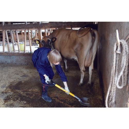 Kinzo Silver Elephant Aluminum Scoop #3 D Handle Yellow 003511 1 piece