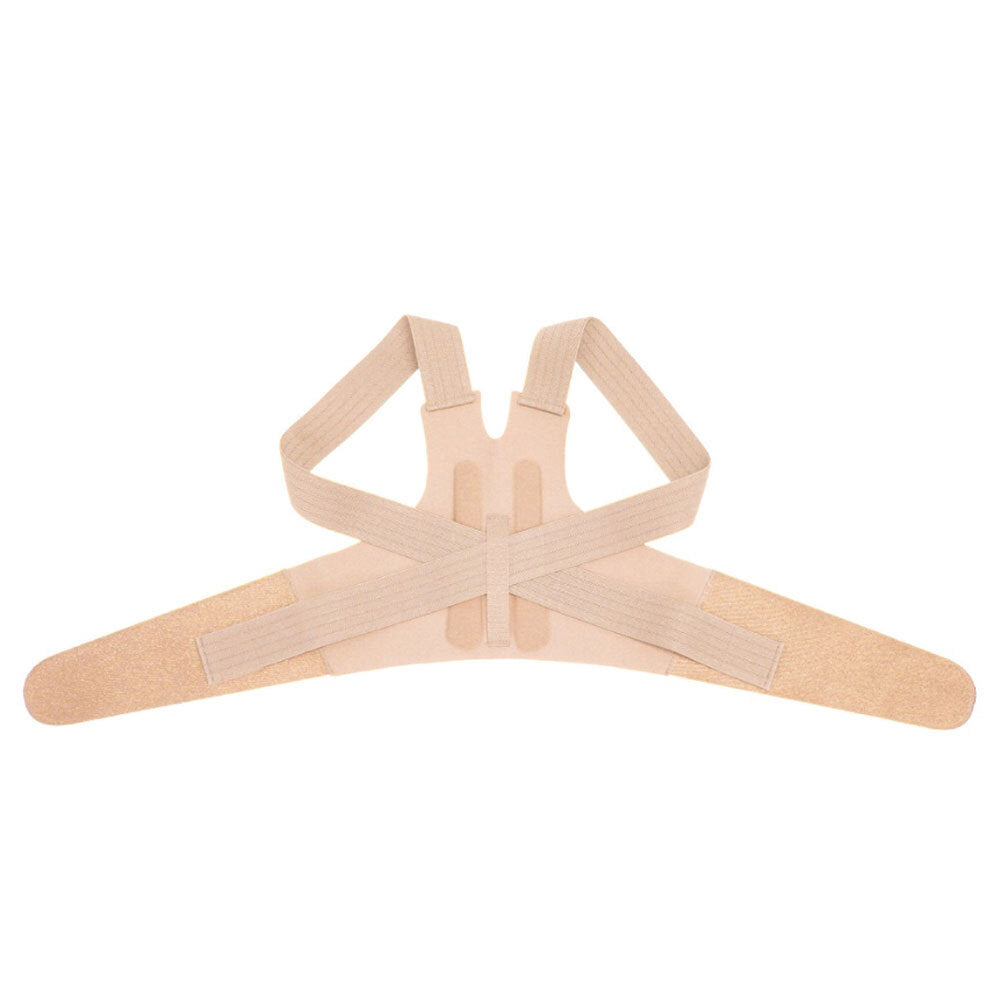 スタイリーズ・ユナイター 姿勢サポートベルト ベージュ Mサイズ 1 個