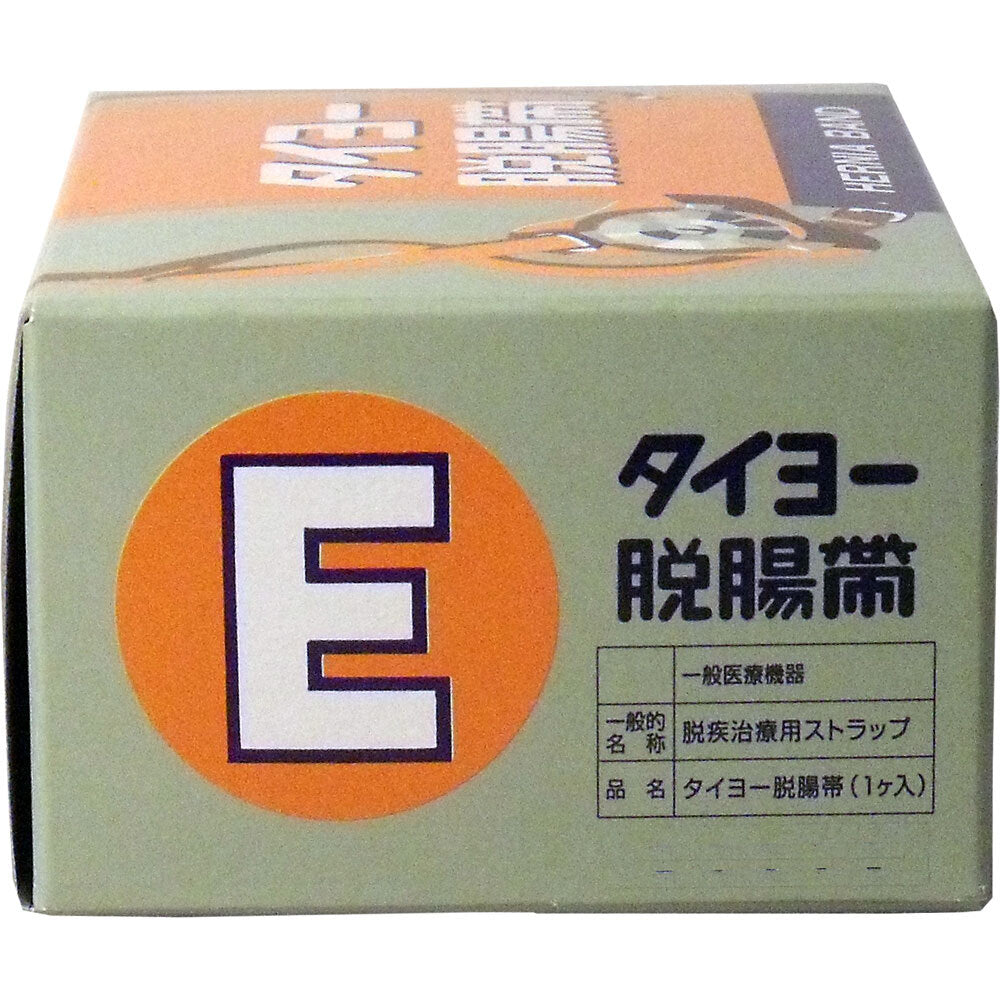 タイヨー 脱腸帯 E号 1 個