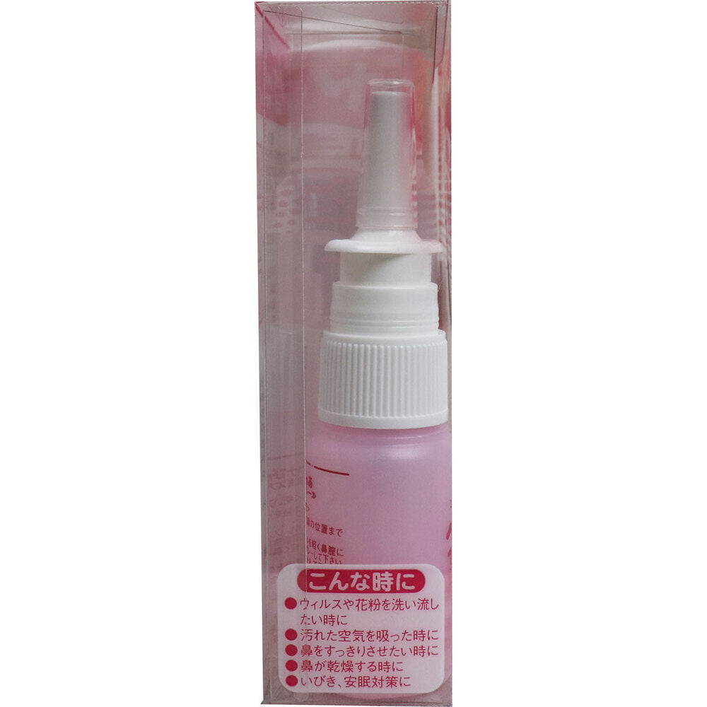 キレイ&しっとり ハナぴゅあ 洗浄液100mL付き 1 個