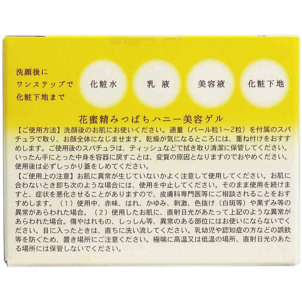 Honey Bee Beauty Gel All-in-one Gel 100g 1 piece