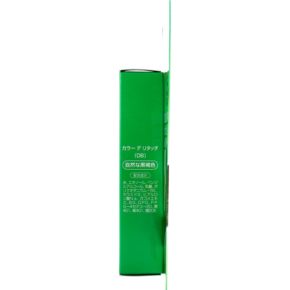 【アウトレット】カラーデリタッチ ヘアマニキュア ダークブラウン 10mL 1 個