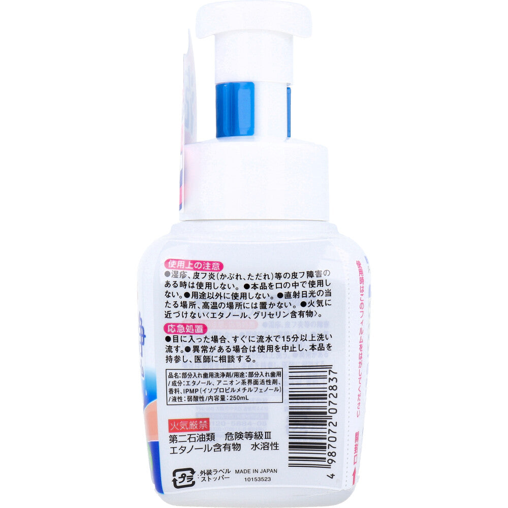 Partialdent Cleaning Foam for Partial Dentures, Mint Scent, 250mL, 1 pc