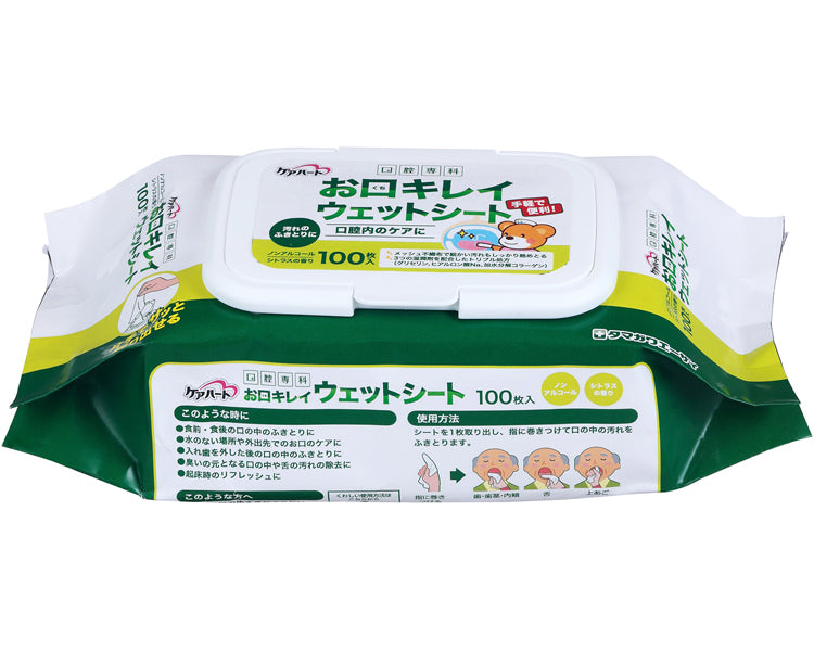 ケアハート口腔専科 お口キレイウェットシートN / 100枚入 1 個