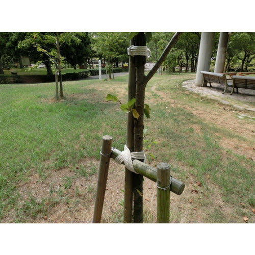 TRUSCO 면 로프 3개 타선 직경 4mmX 길이 10m R-410M 1권