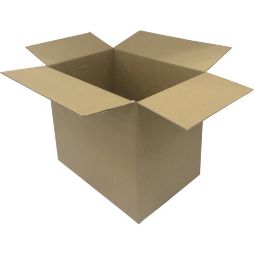 IRIS 553546 段ボールBOX DB−L6 DB-L6 10 枚