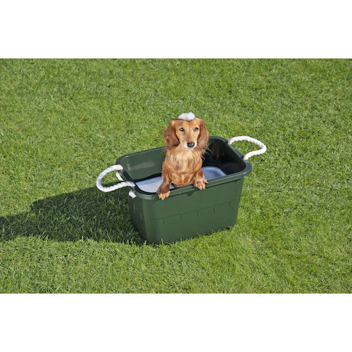 TONBO 잠자리 각형 탭 끈이있는 24 모스 그린 02207 1 개