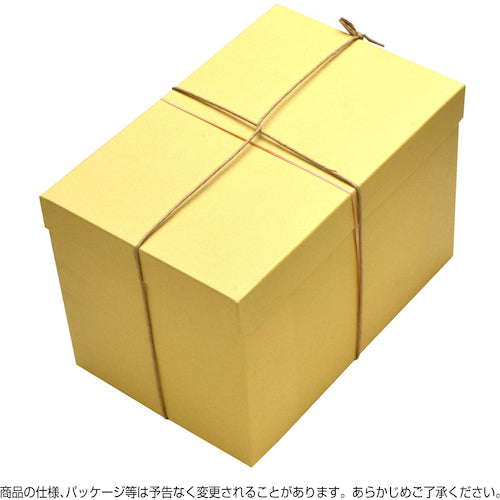 ササガワ 布荷札 白 防水加工仕上 25-170 1 箱