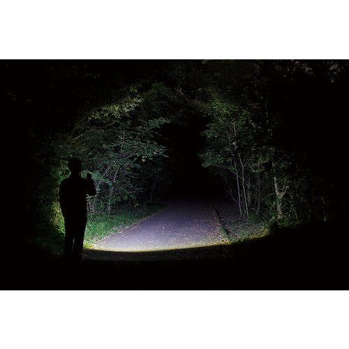 GENTOS 충전식 LED 핸디라이트 섬 2307 FLP-2307 1개