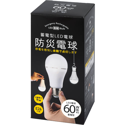 카리하나 제작소 축전형 LED 전구 방재 전구 주백색 KS01-WH 1개