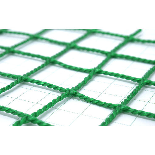 Green Cross Pest and Bird Prevention Net, 25mm Mesh, 2x10, Green, 6300040319, 1 Sheet