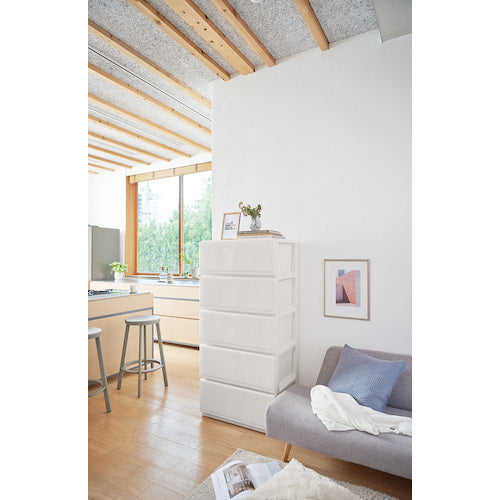 TENMA PRXスタイルケース組立式 6505深型W 110013913 1 個