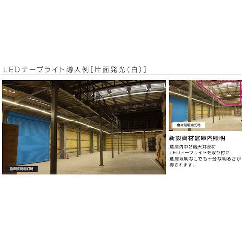 ハタヤ LEDテープライトR片面 RLTP10 1 台