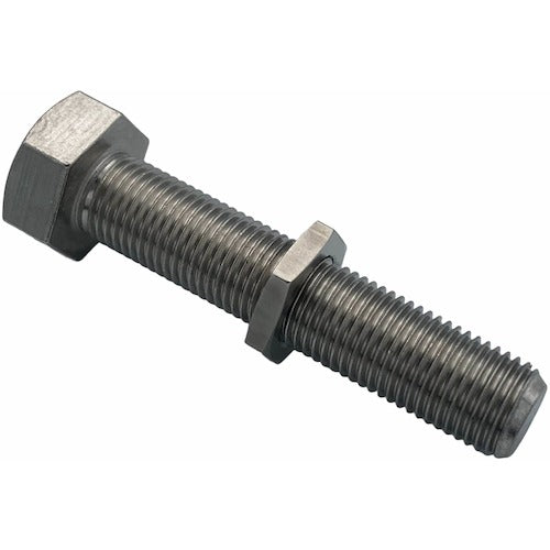 Lactem Small Hexagon Nut SUS304 Fine Thread M10 Ultra-thin HNCTS10 1 pc