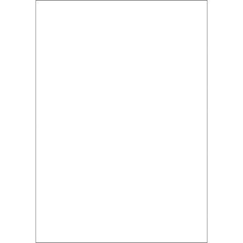 HISAGO FSC(R) certified multi-printer form, copy type, A4, carbonless, blank, FSCF2000, 1 PK