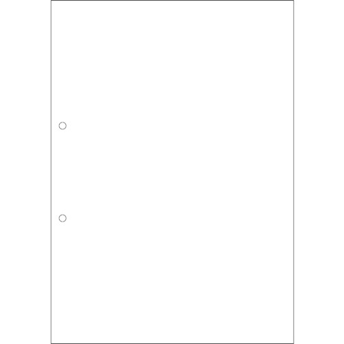 HISAGO FSC(R) certified multi-printer form, copy type, A4, carbonless, blank, 2-hole, FSCF2001, 1 PK
