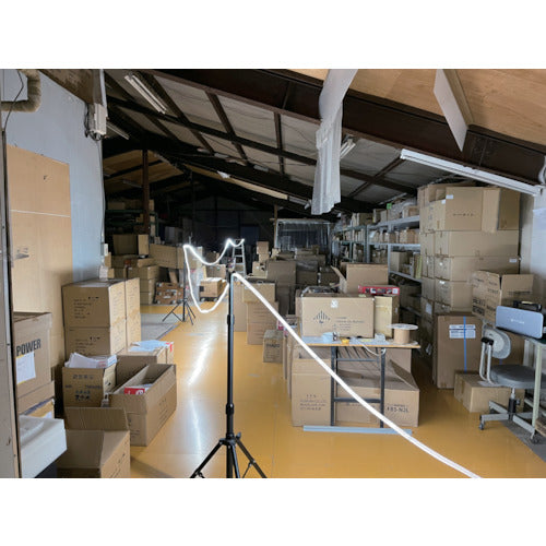 Fujikura LED Rope Light, Single-Sided, 20m, White, FRL-W20M, 1 Roll