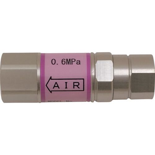 ダイセン 定圧器 マカロン 0.6MPa PC06-22GF 1 個