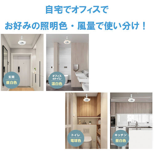 KING JIM Sensor-equipped LED Circulator White LP-SLC10-W 1 unit